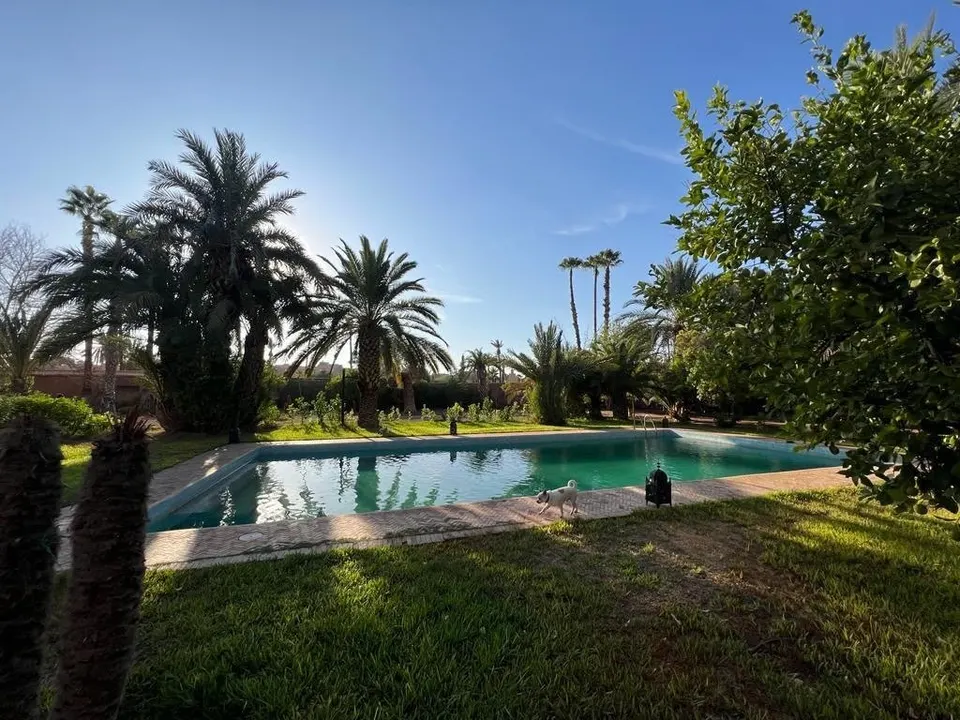 Villa con piscina y jardín de palmeras, Marrakech